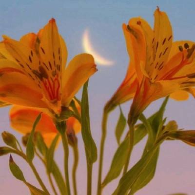 大众彩票入口welcomeapp下载